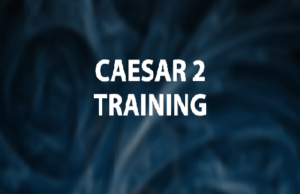 CAESAR Training Institute Delhi, CAESAR 2 Course Uttam Nagar